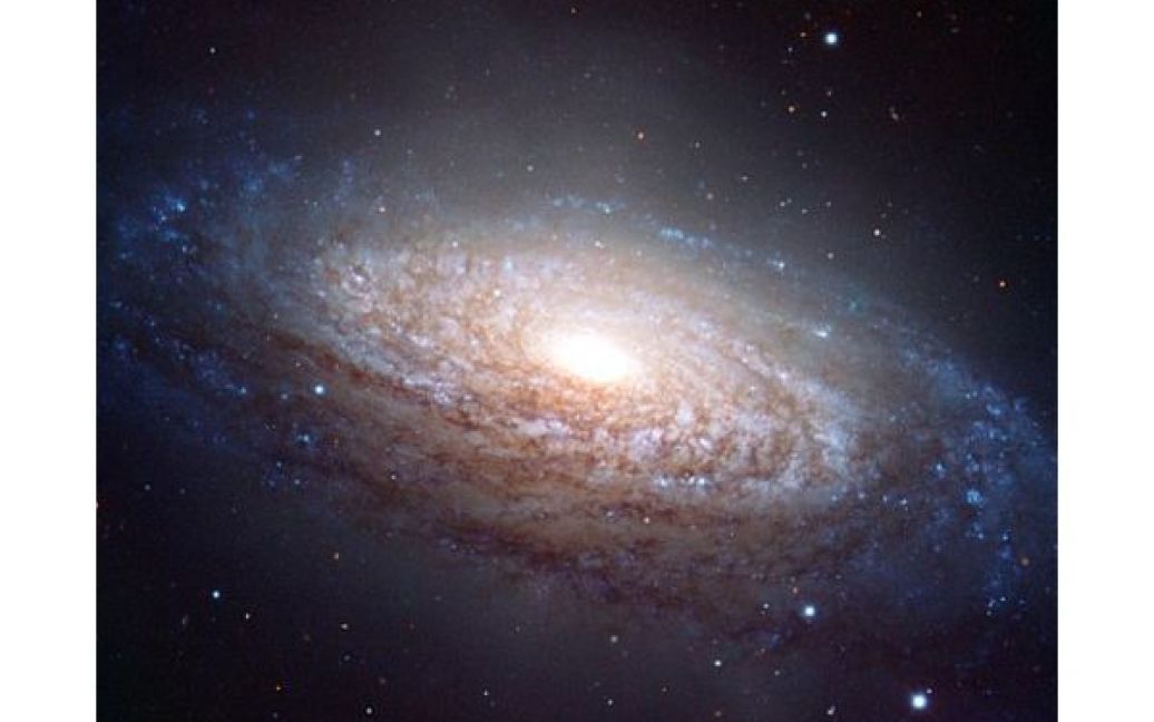 Південно-європейська обсерваторія опублікувала знімок спіральної галактики NGC 3521, що знаходиться у сузір&rsquo;ї Лева на відстані 35 мільйонів світових років від Землі. Галактика, діаметром 50 тисяч світових років, має яскраве і компактне ядро, оточене чіткою спіральною структурою. / © AFP