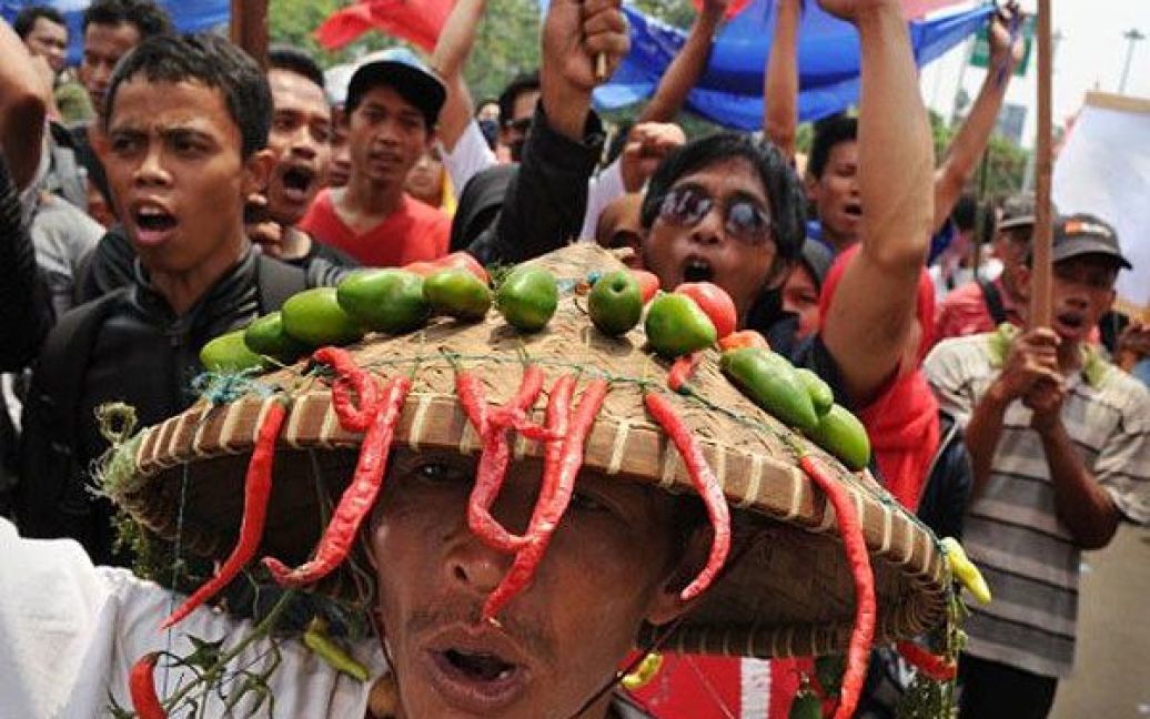 Індонезія, Джакарта. Учасник акції протесту у капелюсі, прикрашеному чилі і помідорами, вигукує гасла під час демонстрації біля президентського палацу в Джакарті. Демонстранти виступили проти зростання цін на товари та корупції в країні. / © AFP