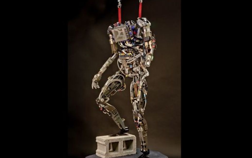 Робот PETMAN / © bostondynamics.com