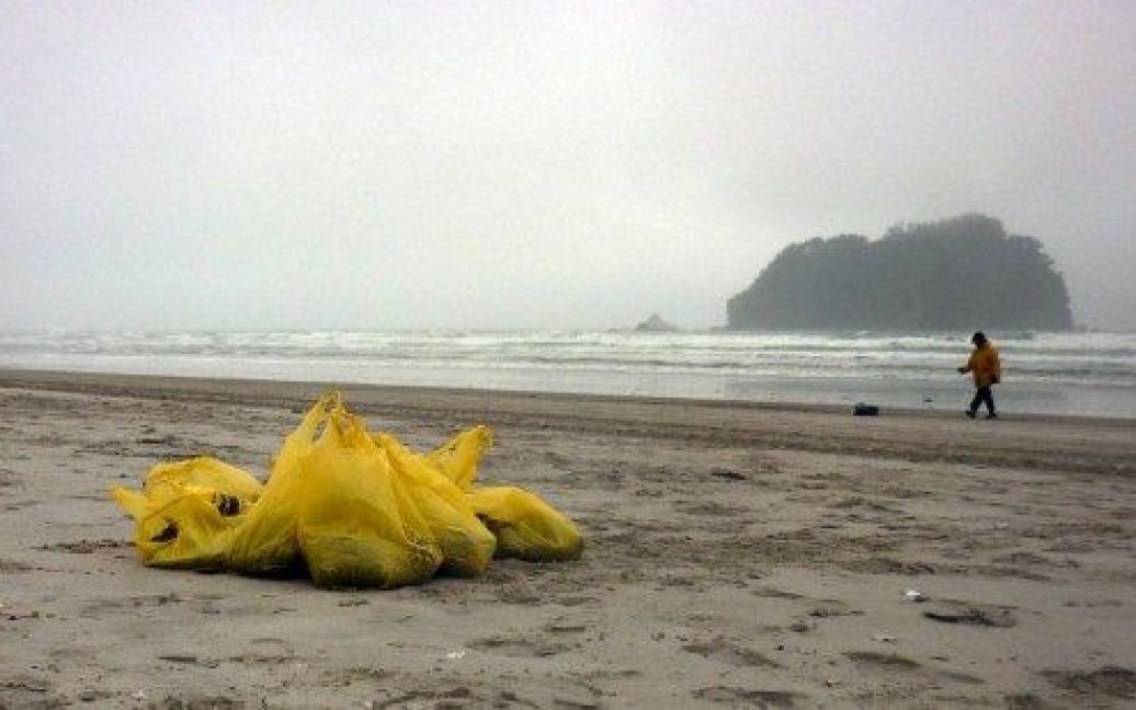 Розлив нафти біля берегів Нової Зеландії / © AFP