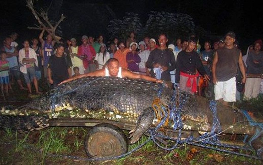 Філіппіни, Бунаван. Крокодил вагою в одну тонну і завдовжки майже 7 метрів був захоплений живим у річці в місті Бунаван провінції Агусан-дель-Сур декількома десятками сільських жителів. Кілька тижнів знадобилося філіппінським мисливцям, щоб впіймати гігантського крокодила. / © AFP