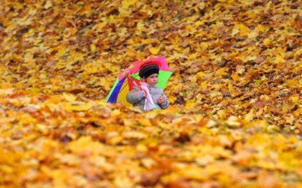 Білорусь, Мінськ. Дівчинка гуляє осіннім парком в Мінську, де почалась "золота осінь". / © AFP