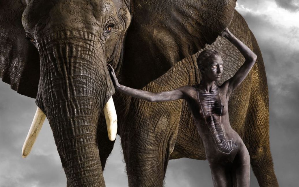 Американський фотограф Лінетт Ньювелл провів незвичну фотосесію, в якій взяли участь голі моделі, тіла яких пофарбували під шкіру диких тварин. / © dailymail.co.uk
