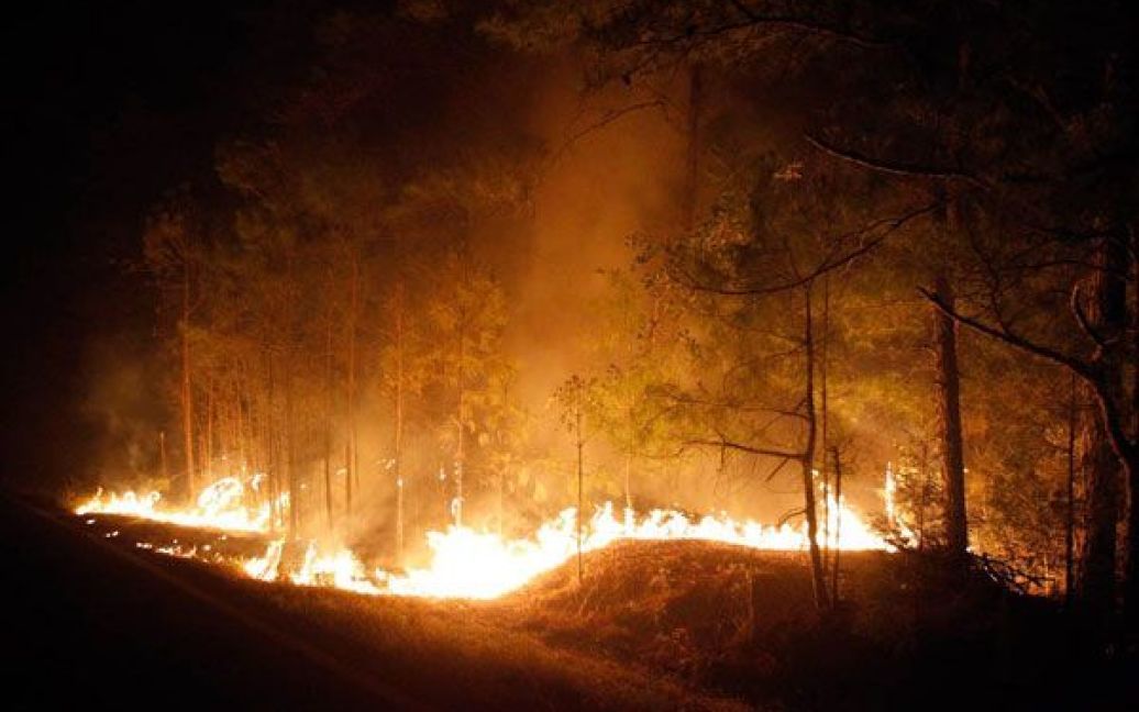 Небувала посуха стала причиною найсильніших за всю історію Техасу природних пожеж: горять ліси, поля, знищені сотні будинків. / © gazeta.ua