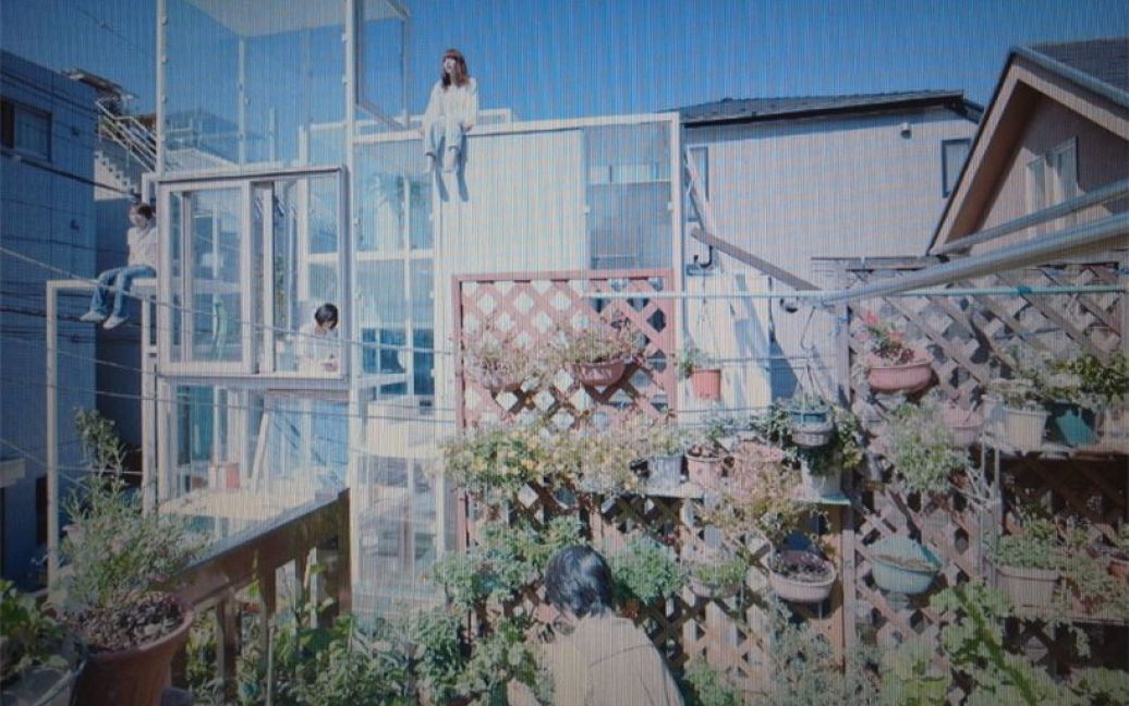 Японці зводять прозорі будинки без стін. / © Designboom