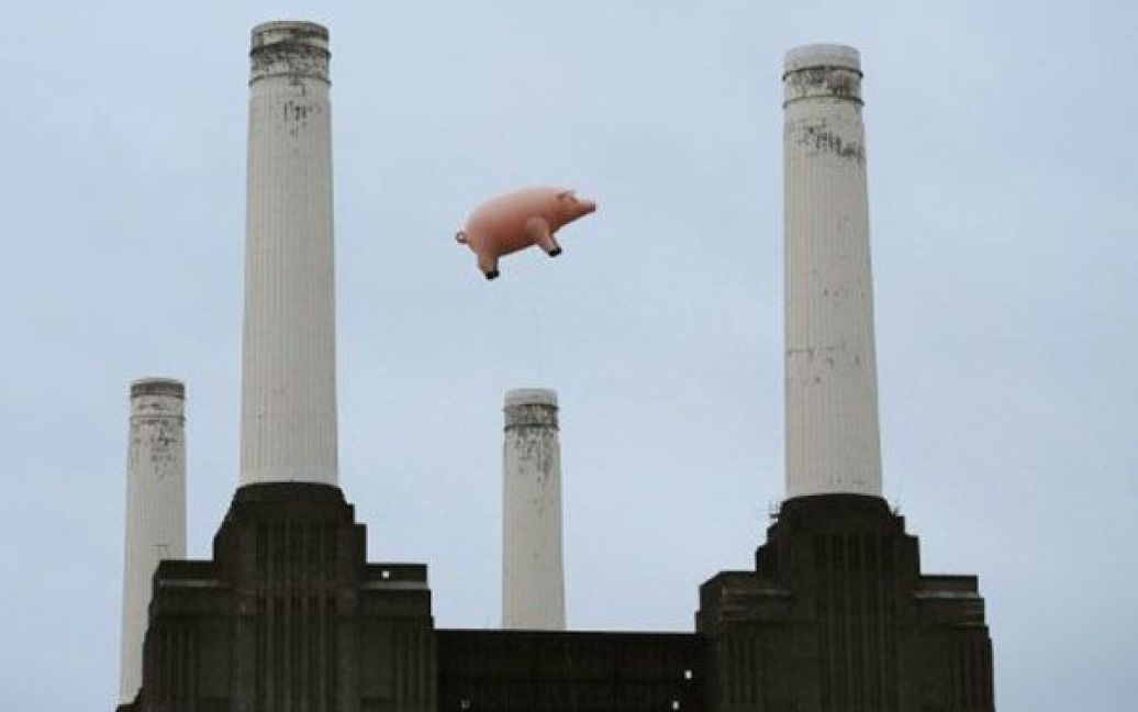 Великобританія, Лондон. Надувну свиню запустили у повітря над електростанцією Баттерсі в Лондоні напередодні перевидання альбому британської рок-групи Pink Floyd. Літаюча свиня з&rsquo;являлась до того на обкладинці альбому Pink Floyd "Animals" 1976 року. / © AFP