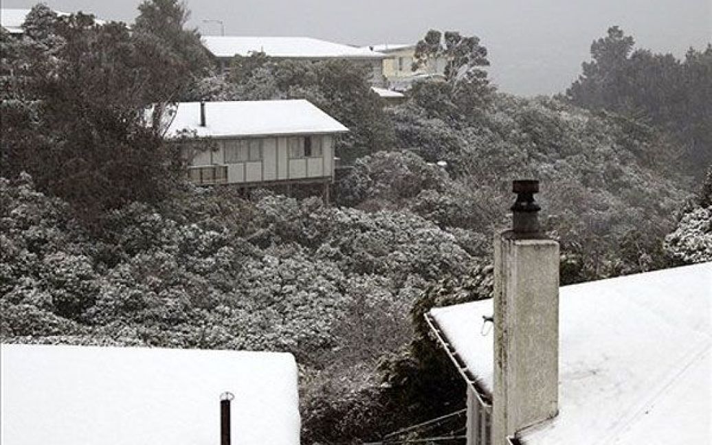 На Нову Зеландію обрушилися сильні снігопади і шквалисті вітри. / © AFP