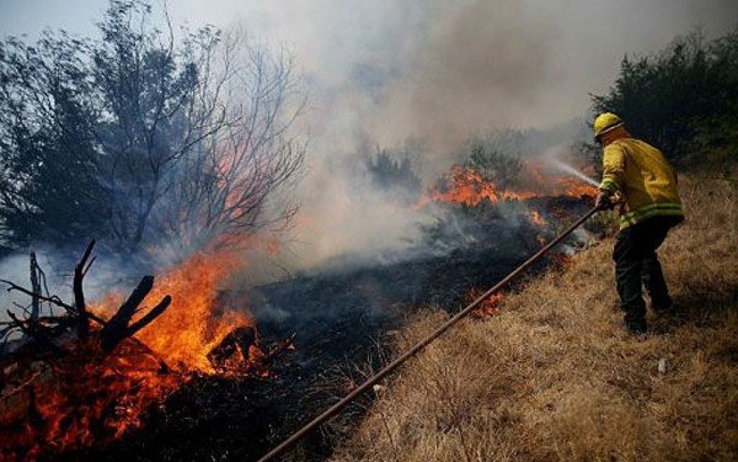 Небувала посуха стала причиною найсильніших за всю історію Техасу природних пожеж: горять ліси, поля, знищені сотні будинків. / © AFP