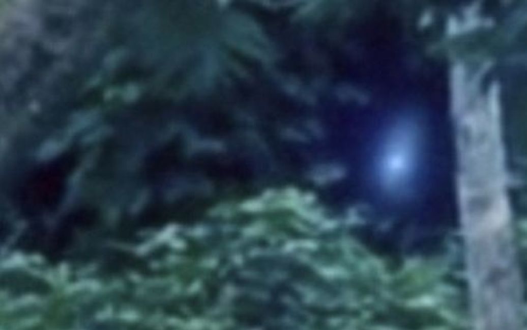 У Бразилії в об&#039;єктив відеокамери потрапив інопланетянин / © The Daily Mail