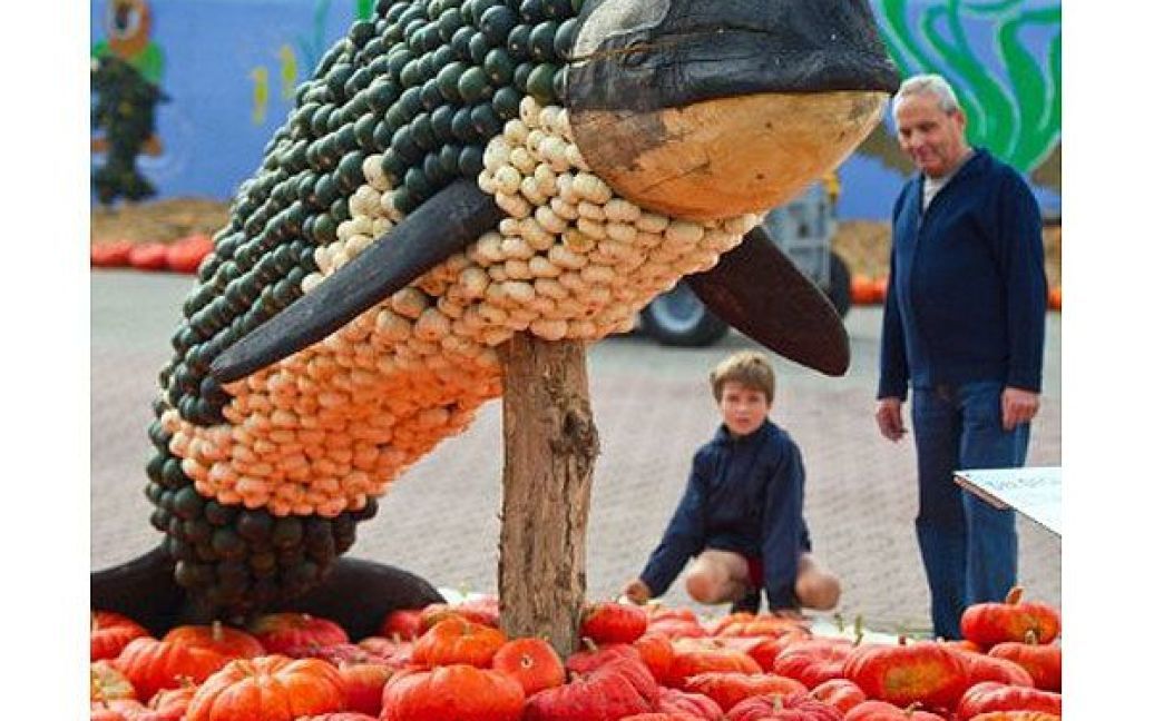 У Німеччині провели виставку, присвячену гарбузам. / © AFP