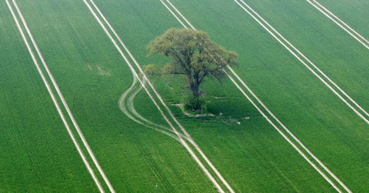 У 2011 році населення Землі досягло семи мільярдів мешканців. / © AFP