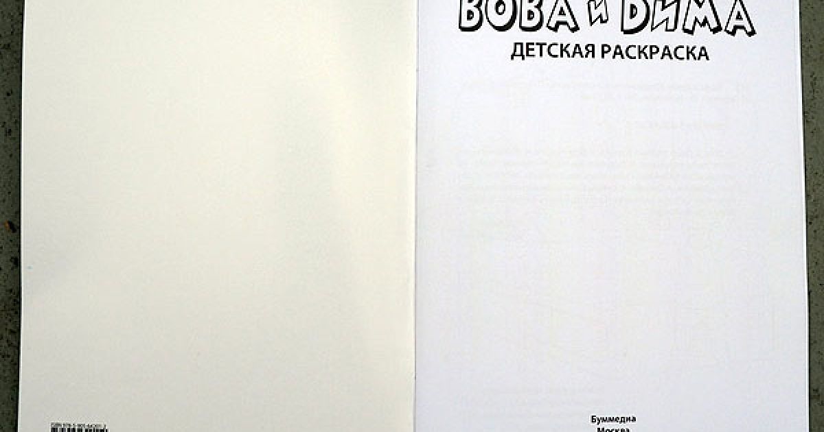 Книжка-розмальовка "Вова і Діма" / © Ридус