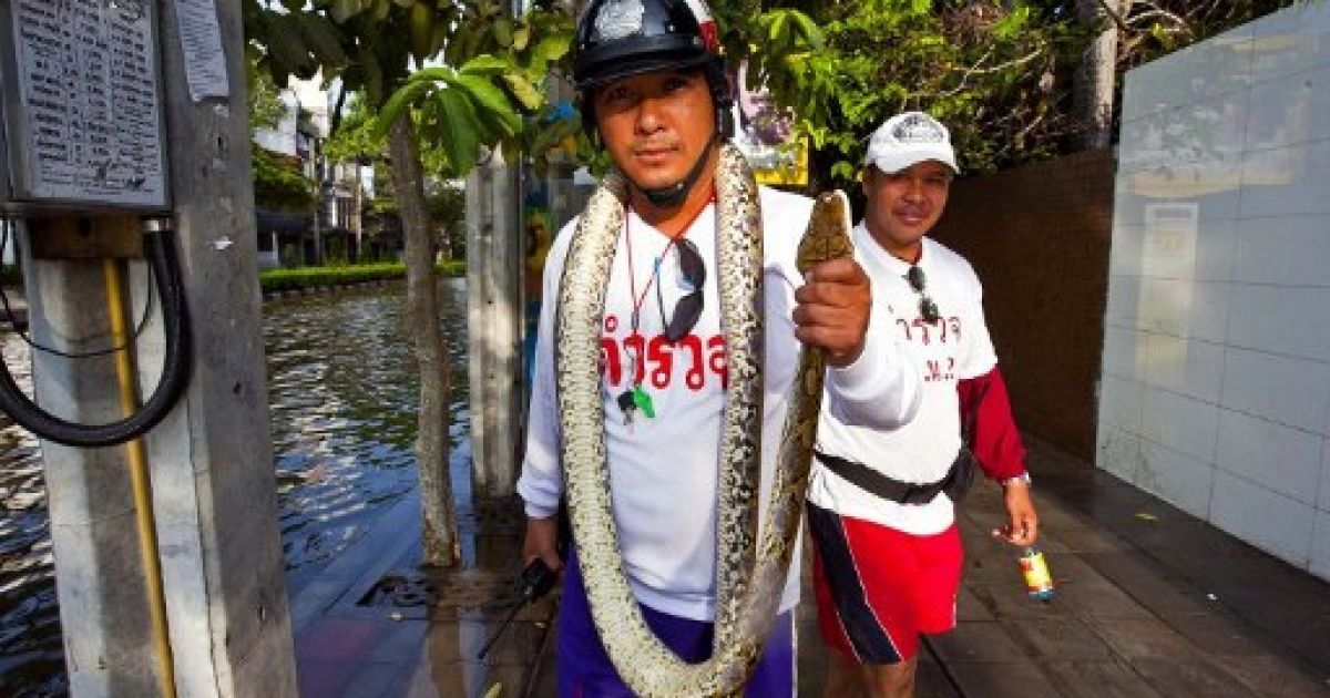 Повінь у Таїланді, Бангкок затопило_20 / © AFP