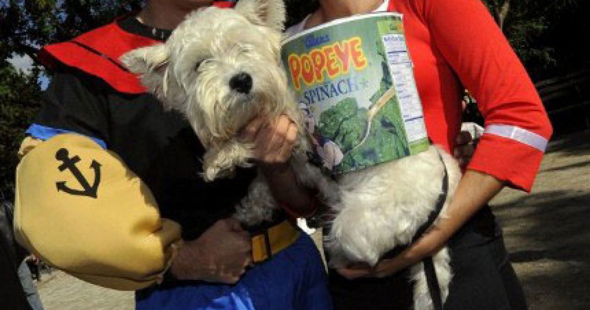 Собака-попкорн / © AFP