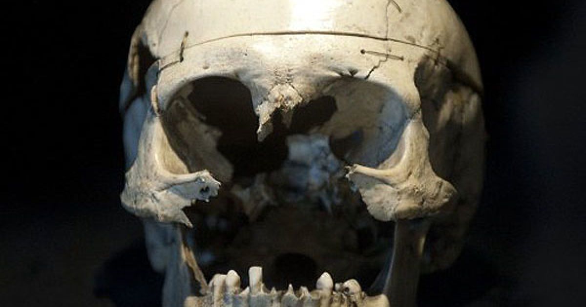 Німеччина, Дрезден. Череп солдата, який покінчив життя самогубством, вистріливши собі в рот під час Другої світової війни, виставили в музей військової історії у Дрездені. / © AFP