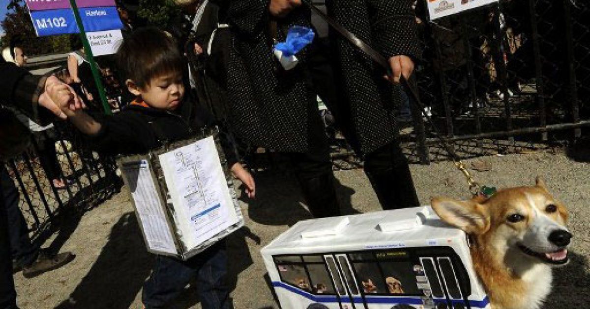 В Нью-Йорку пройшов щорічний 21-ий собачий Хелловін-парад на Томпкінс-сквер. / © AFP