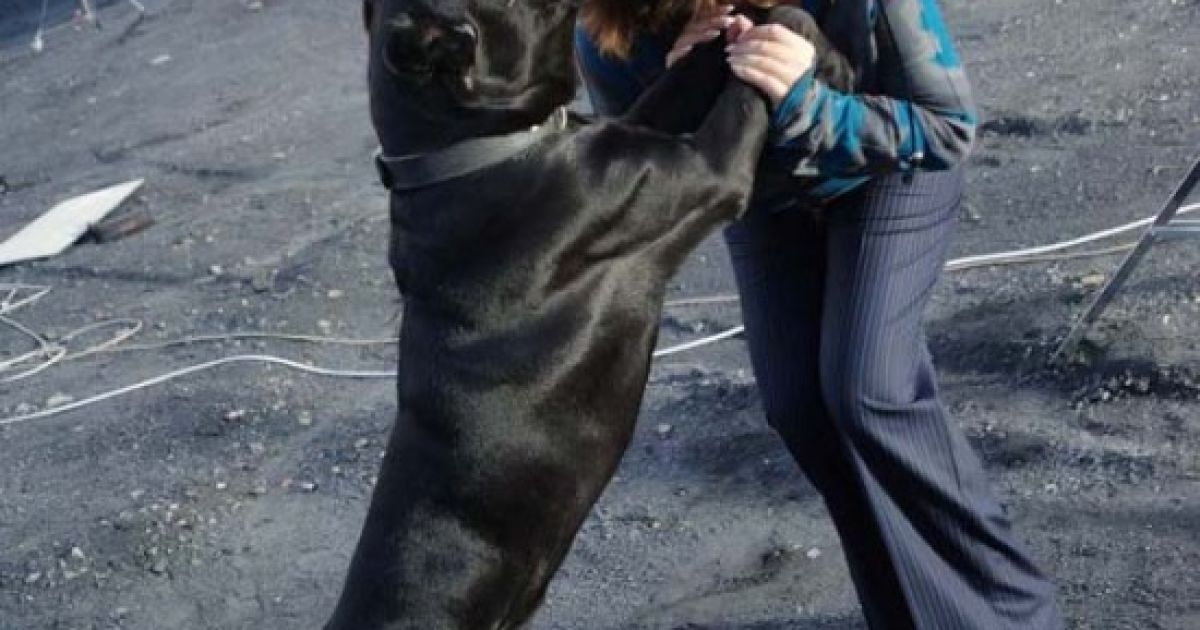 Ірина Білик презентувала нове відео на пісню "Девочка" / © irynabilyk.com