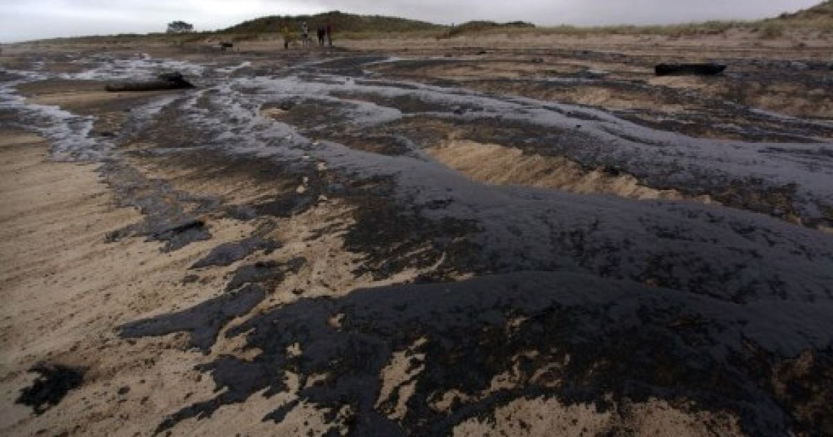 Нова Зеландія, Тауранга. Нафта з контейнеровоза "Рено", який застряг на рифах поблизу узбережжя Нової Зеландії, досягла пляжу Папамоа біля Тауранги. Філіппінський капітан корабля був заарештований і звинувачений у тому, що 70 контейнерів з нафтою впали у море, що призвело до екологічної катастрофи. / © AFP