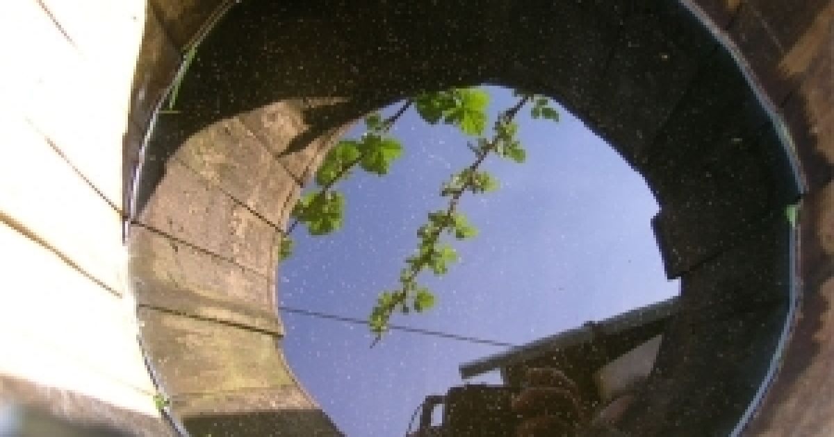 Ілюстрація