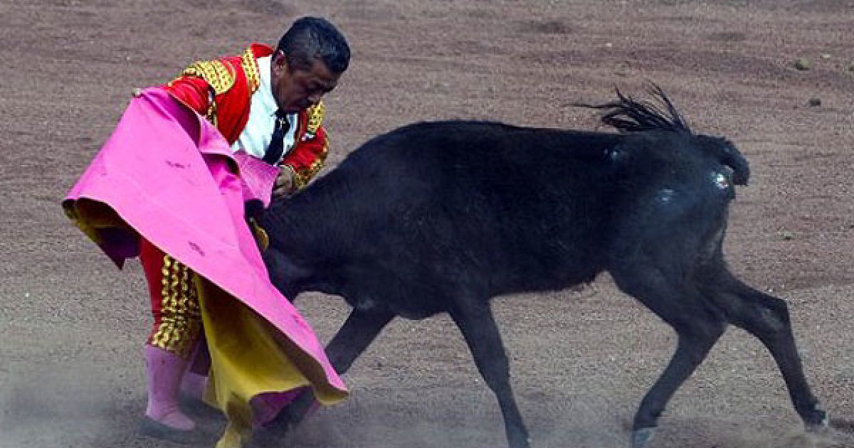 Родео-шоу від трупи карликів-матадорів у мексиканському місті Закатлан / © AFP