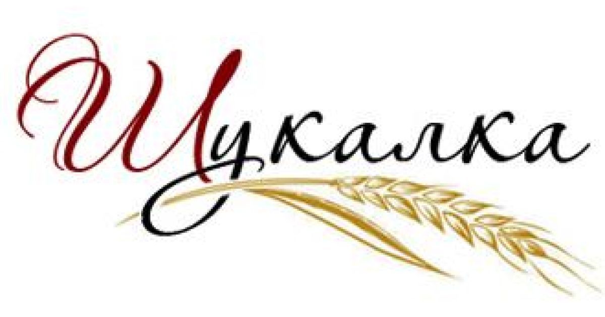 В юанеті з&rsquo;явиться національний "гугл" - Шукалка