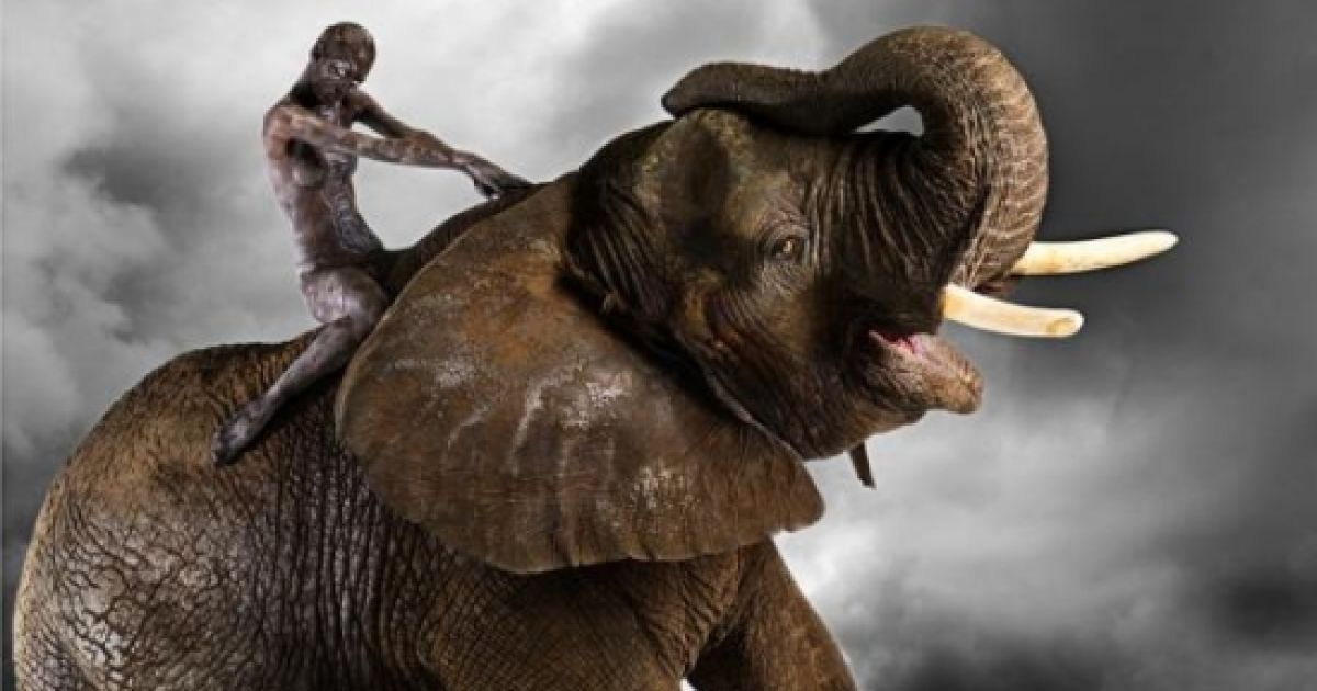 Американський фотограф Лінетт Ньювелл провів незвичну фотосесію, в якій взяли участь голі моделі, тіла яких пофарбували під шкіру диких тварин. / © dailymail.co.uk
