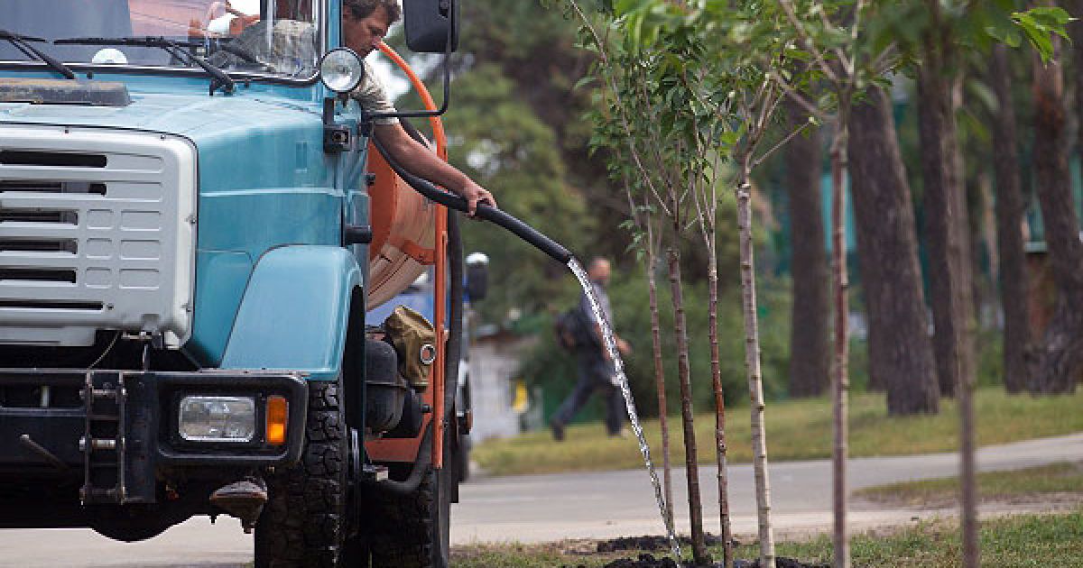 У київському парку Кіото висадили алея сакур довжиною майже 2 км. / © Украинское Фото