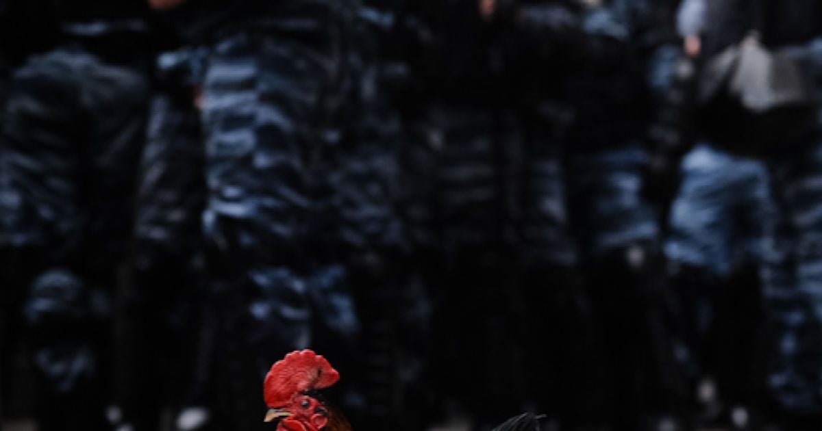 Близько 700 представників чорнобильських організацій провели акцію протесту під стінами Кабміну.