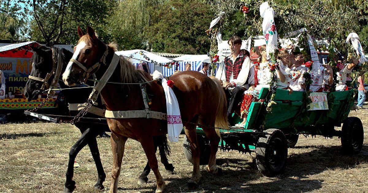 У закарпатському Берегово відбувся фестиваль "Bereg Fest 2011" / © Украинское Фото