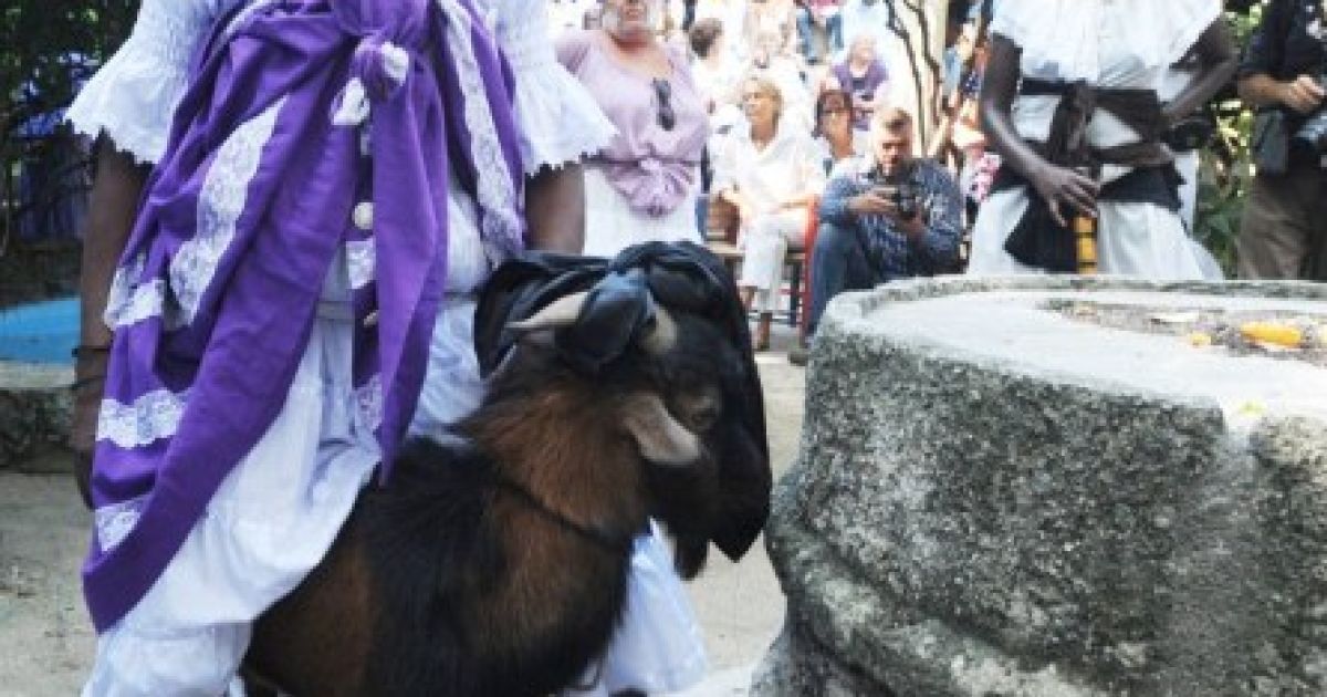 На Гаїті День всіх святих відзначили за ритуалами вуду / © AFP