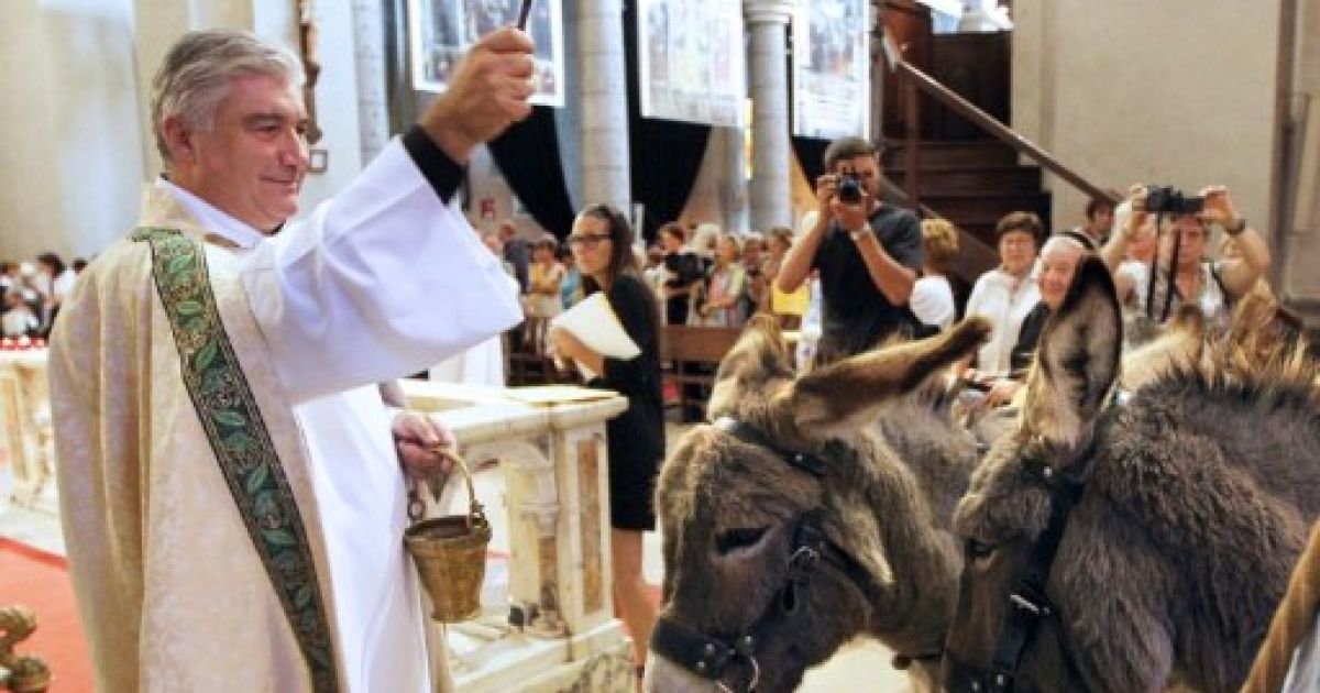 Франція, Ніцца. Священник Гіл Флоріні з церкви Сен-П&#039;єр-д&#039;Арен благословляє віслюків під час масового благословення тварин у французькому місті Ніцца. / © AFP