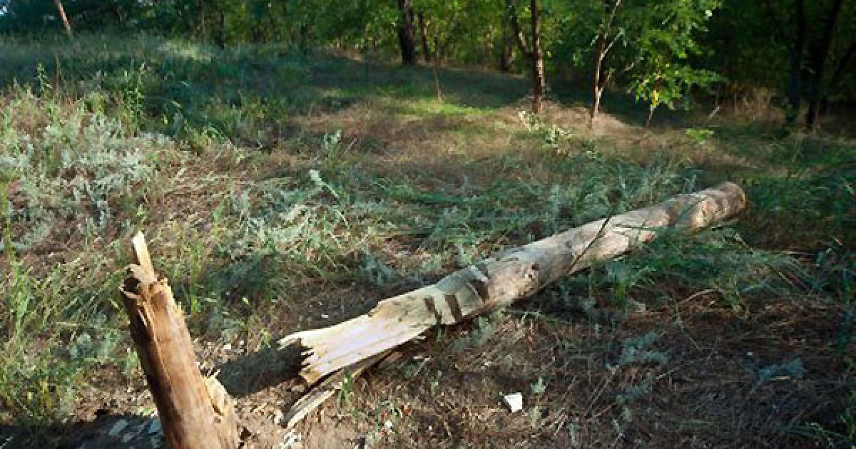 Сокирою були пошкоджені дерев&#039;яні образи богів Перуна, Велеса і Макоші. / © УНІАН