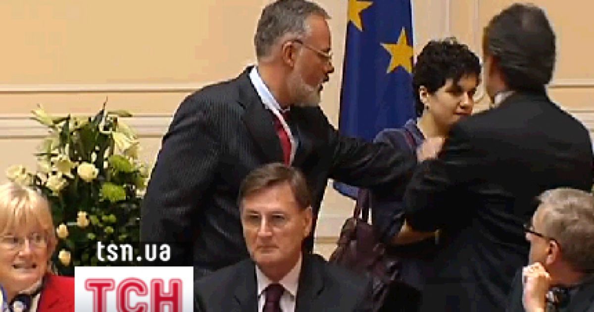 Студентка Києво-Могилянської академії Дарина Степаненко під час спланованої акції проти Дмитра Табачника, вліпила міністрові освіти ляпаса букетом хризантем.