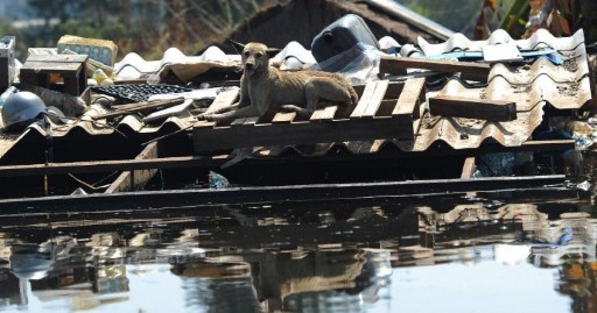 Повінь у Таїланді, Бангкок затопило_27 / © AFP
