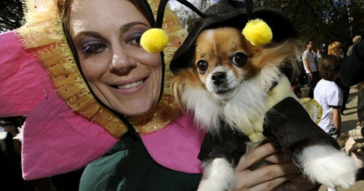 В Нью-Йорку пройшов щорічний 21-ий собачий Хелловін-парад на Томпкінс-сквер. / © AFP