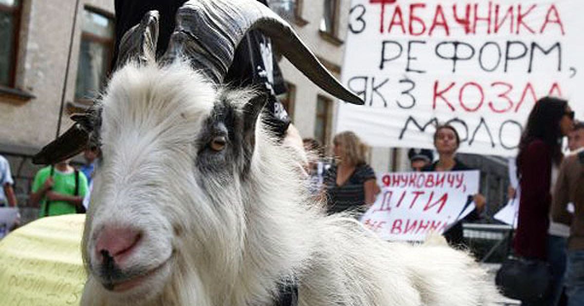 У День знань по всій Україні прокотилися акції з вимогами звільнити міністра освіти і науки, молоді та спорту Дмитра Табачника. / © УНІАН