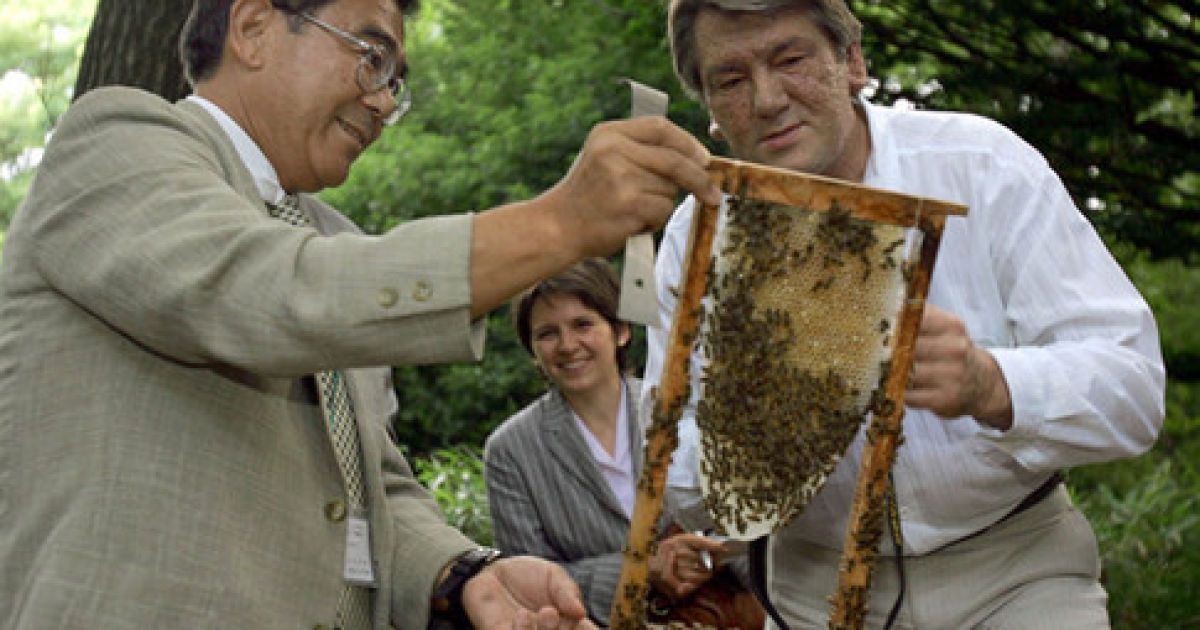 Ванникова запевняє, що такого бути не могло