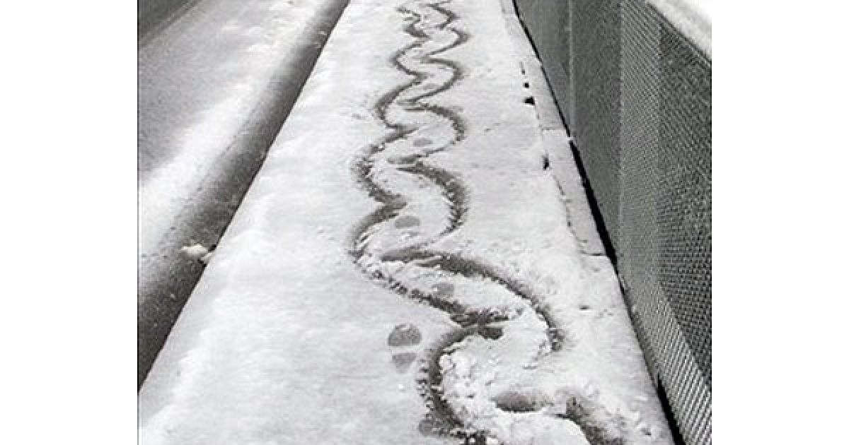 Закрито школи, місцеві аеропорти, частково паралізований рух автотранспорту на островах Північний і Південний. / © AFP