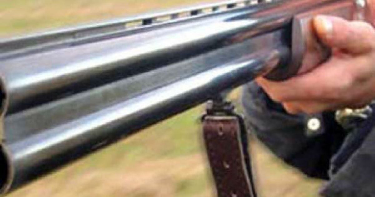 Ілюстрація