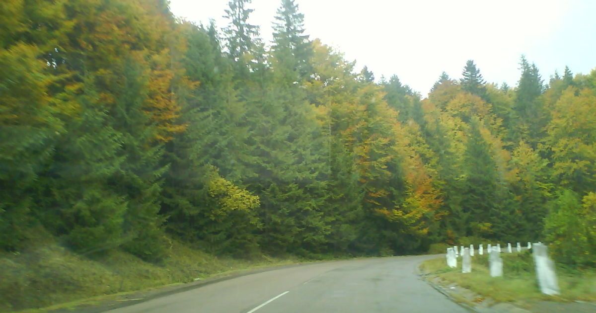 Сніг у Карпатах_5 / © Lara Kroft