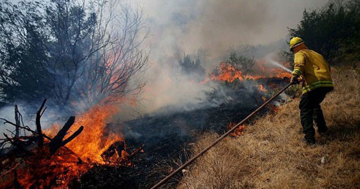 Небувала посуха стала причиною найсильніших за всю історію Техасу природних пожеж: горять ліси, поля, знищені сотні будинків. / © AFP