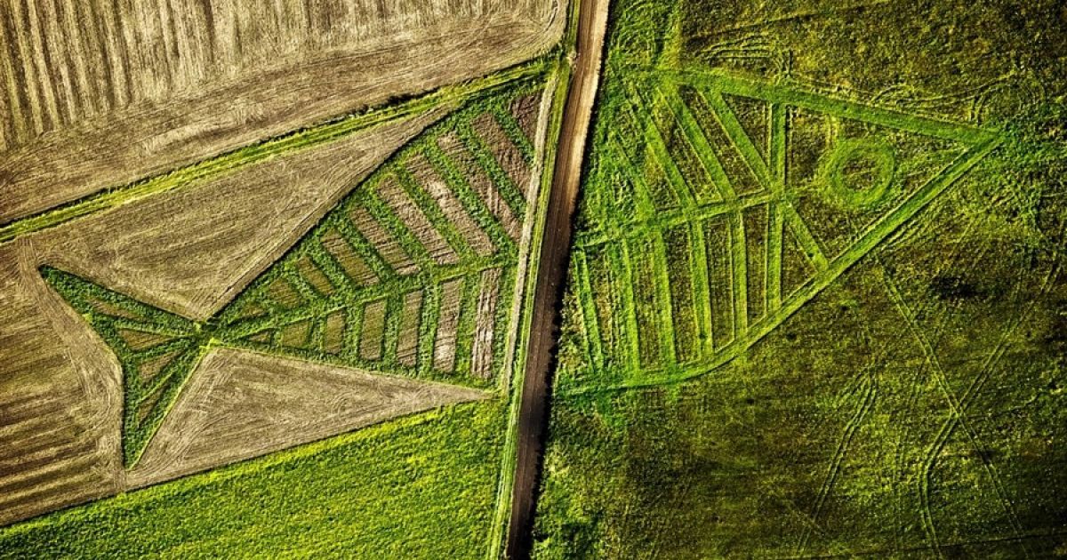 Повністю розгледіти зображення, виконане з трави, можливо лише з висоти пташиного польоту. / © 1pkins.livejournal.com