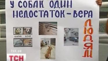 В Житомире защитники животных протестовали против жестокого убийства собак
