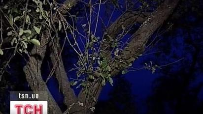 На Київщині 9-річна школярка вчинила самогубство