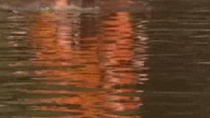 Бангкок оголошено зоною стихійного лиха