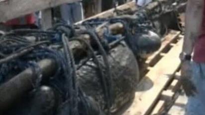 На Філіппінах впіймали мега-крокодила завдовжки майже 7 метрів