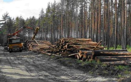 Из правительственной комиссии по контрабанде леса исключили активистов