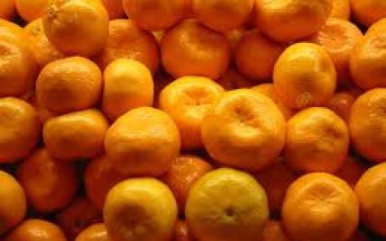 Зміни клімату дозволять вирощувати мандарини в Одесі