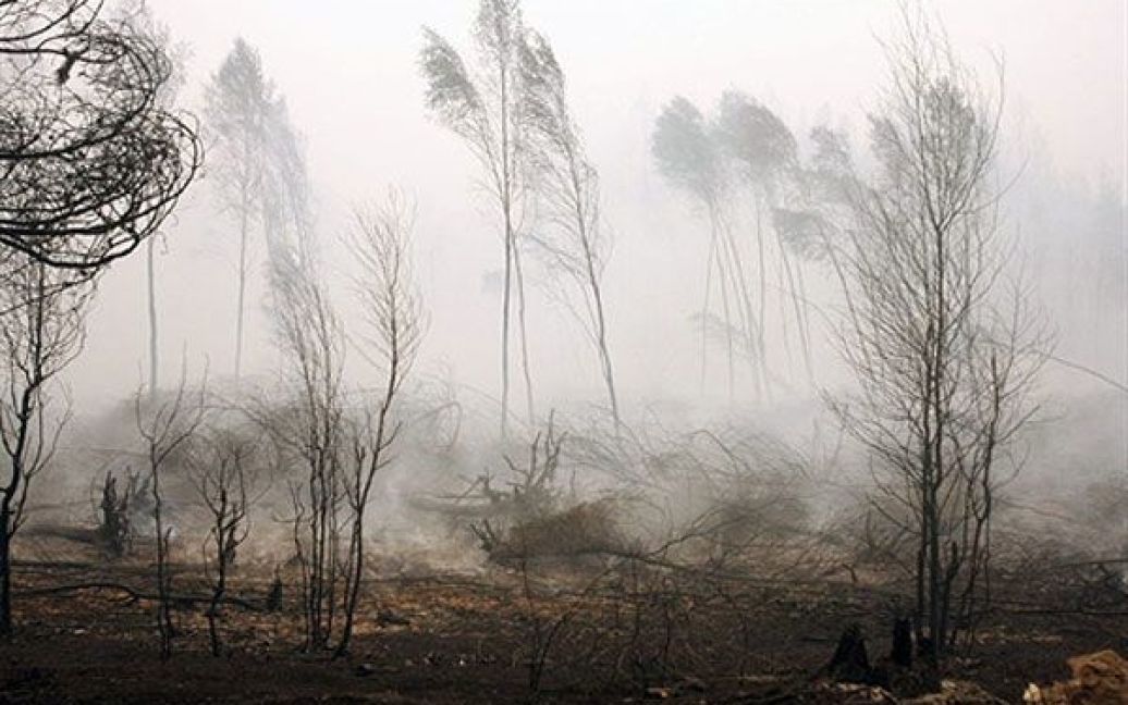 У Центральній Росії продовжують лютувати пожежі, які добираються до населених пунктів і знищують цілі села. / © AFP