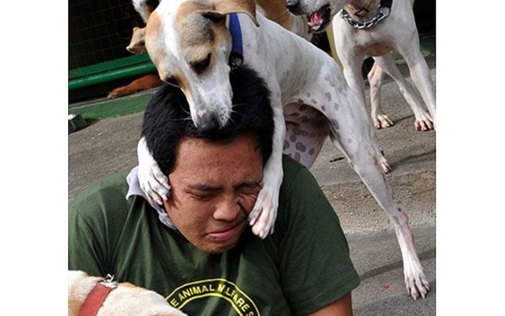 Філіппіни, Маніла. Собаки, врятовані від жорстоких власників, грають з волонтером організації "Суспільство добробуту філіппінських тварин" (PAWS) у Манілі. Центр PAWS став однією з місцевих організацій із захисту прав тварин, які закликали уряд заборонити вбивство безпритульних собак вихлопними газами, що є "жорстоким і нелюдяним" з боку людей. / © AFP